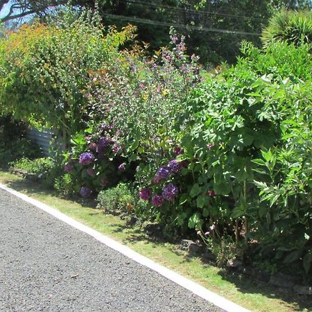 Cozy Haven - Waihi Apartment Exterior foto