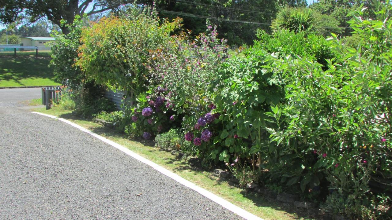 Cozy Haven - Waihi Apartment Exterior foto