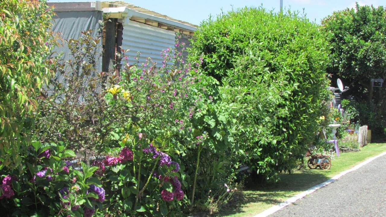 Cozy Haven - Waihi Apartment Exterior foto